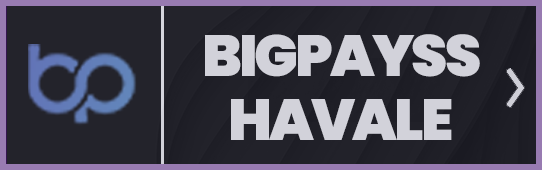 Bigpayss Bank Transfer